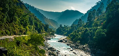 Book This Music Concert by the Ramganga River