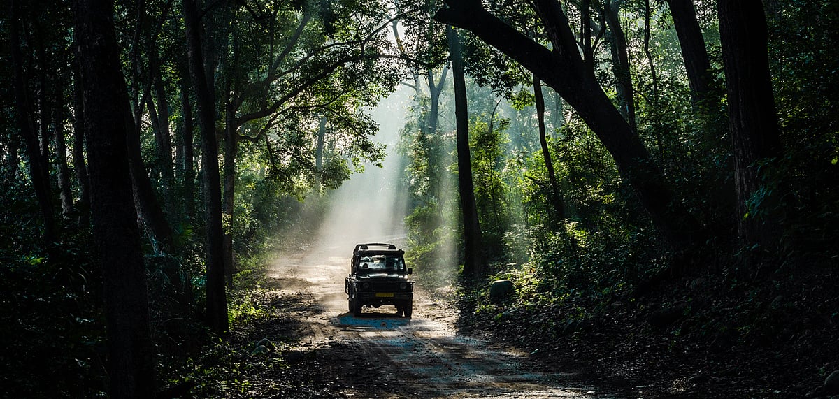 Corbett National Park cancels VIP bookings