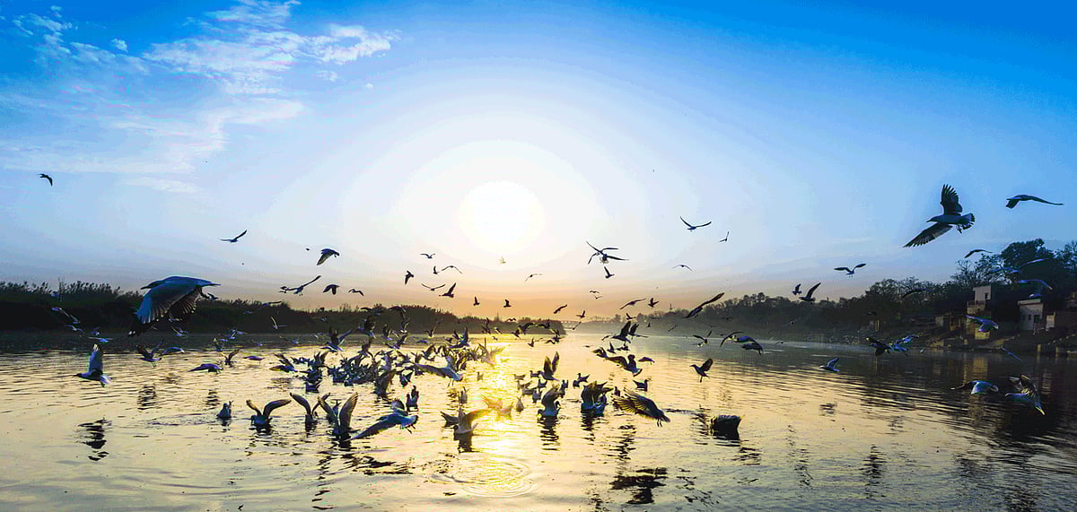 Delhis newest Biodiversity Park will be near the DND Expressway