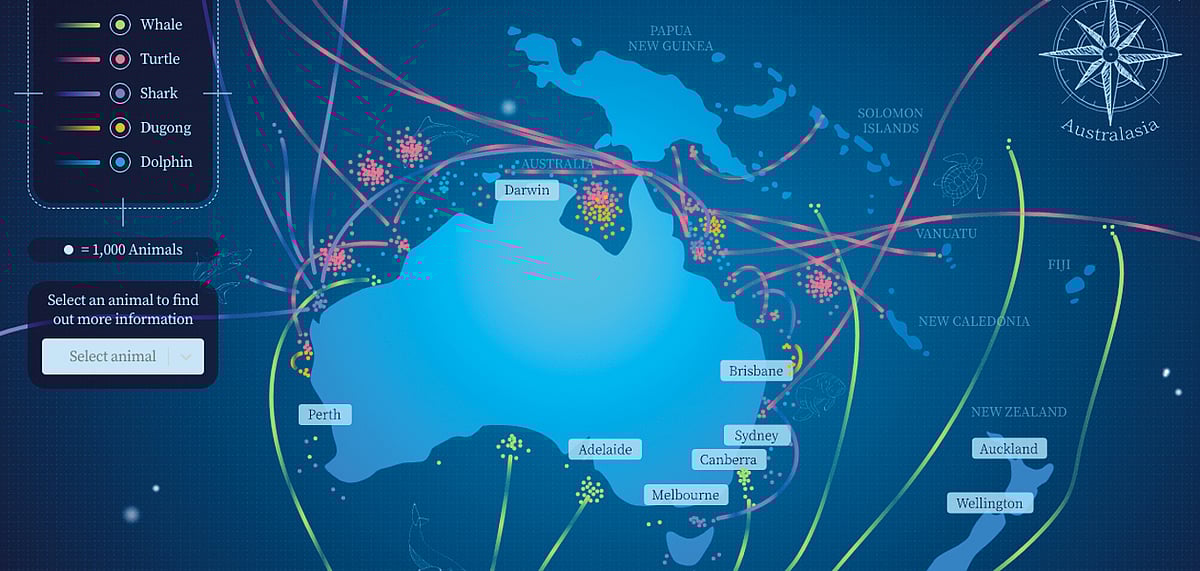 Discover Australias marine wildlife with this website