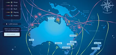 Discover Australias marine wildlife with this website