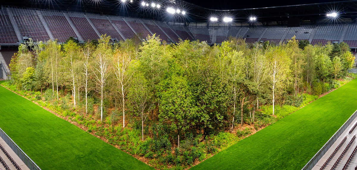 The temporary forest calls attention to the increasing problems of climate change