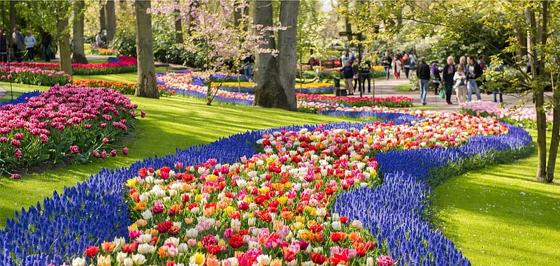 Keukenhof Park in the Netherlands