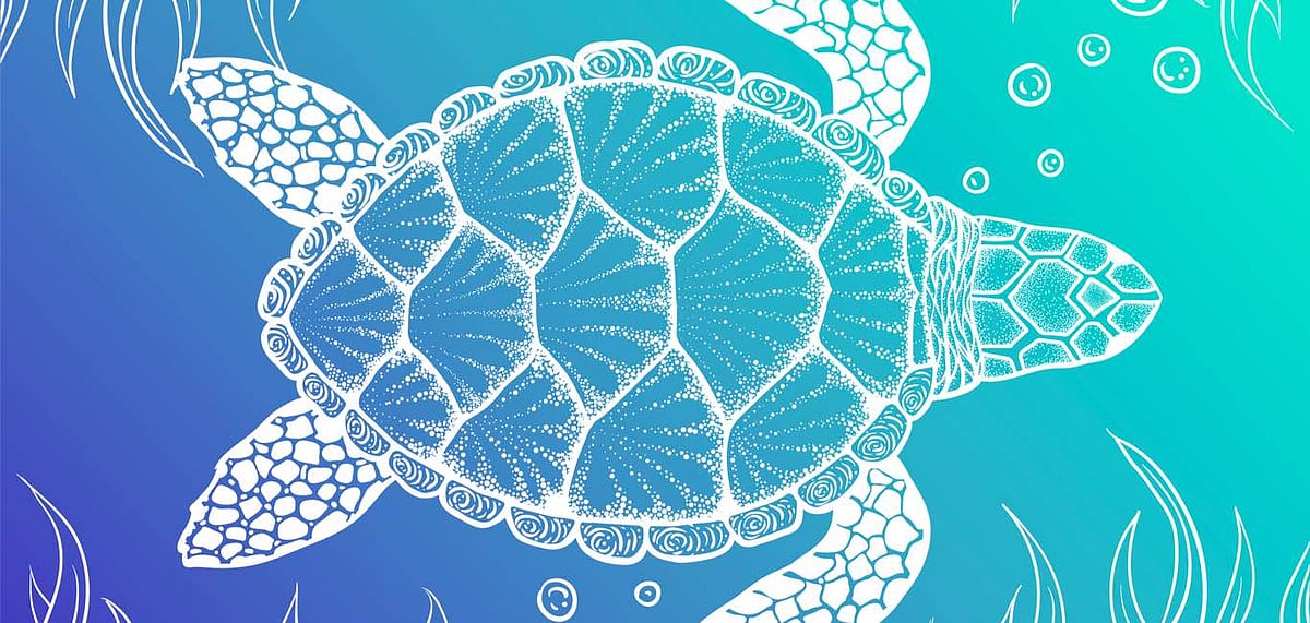 Representative Image Odisha houses rich marine life