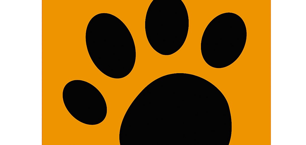 Find the WildTrails App on your Android and iOS devices