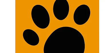 Find the WildTrails App on your Android and iOS devices