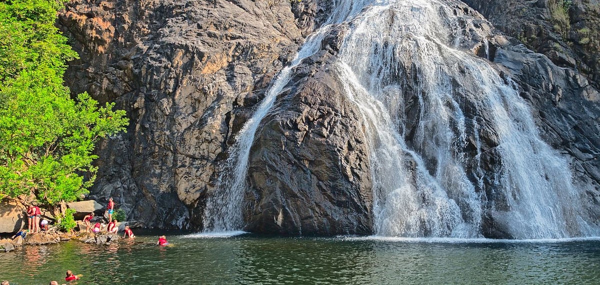 Goa Government Temporarily Restricts Access To Dudhsagar Falls