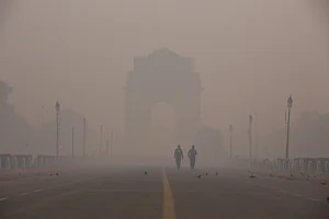 Shutterstock : Dense fog frequently engulfs Delhi NCR and its surrounding states in winter