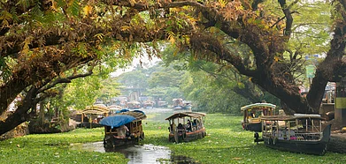 The pretty backwaters of Alleppey