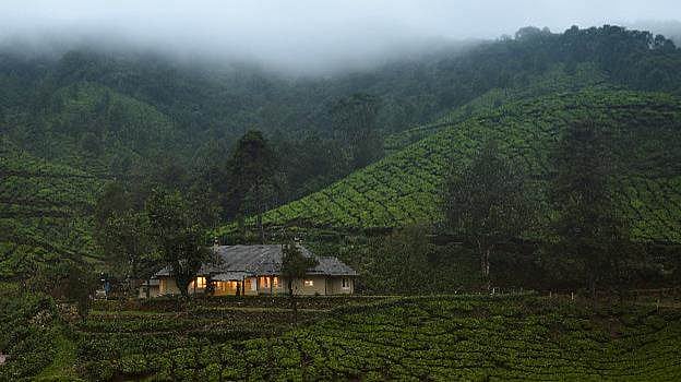 The estates are located in Kanan Devan Hills in the midst of lush plantations and thick forests