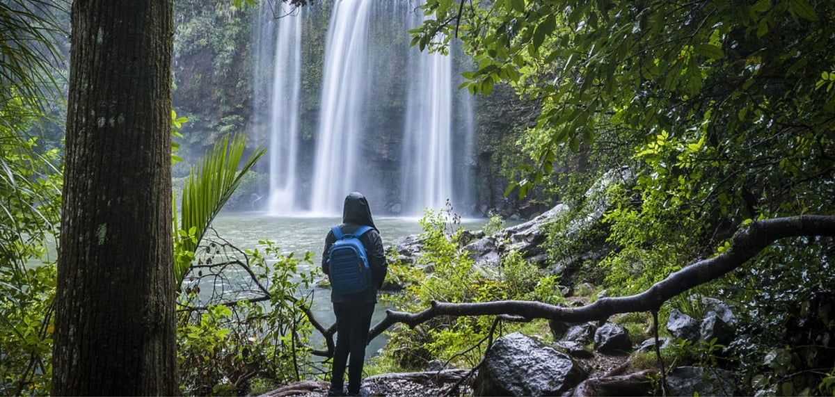 Five Slow Travel Activities In India To Add To Your Bucket List. Credit Shutterstock