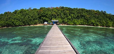 A view of the new capital East Kalimantan