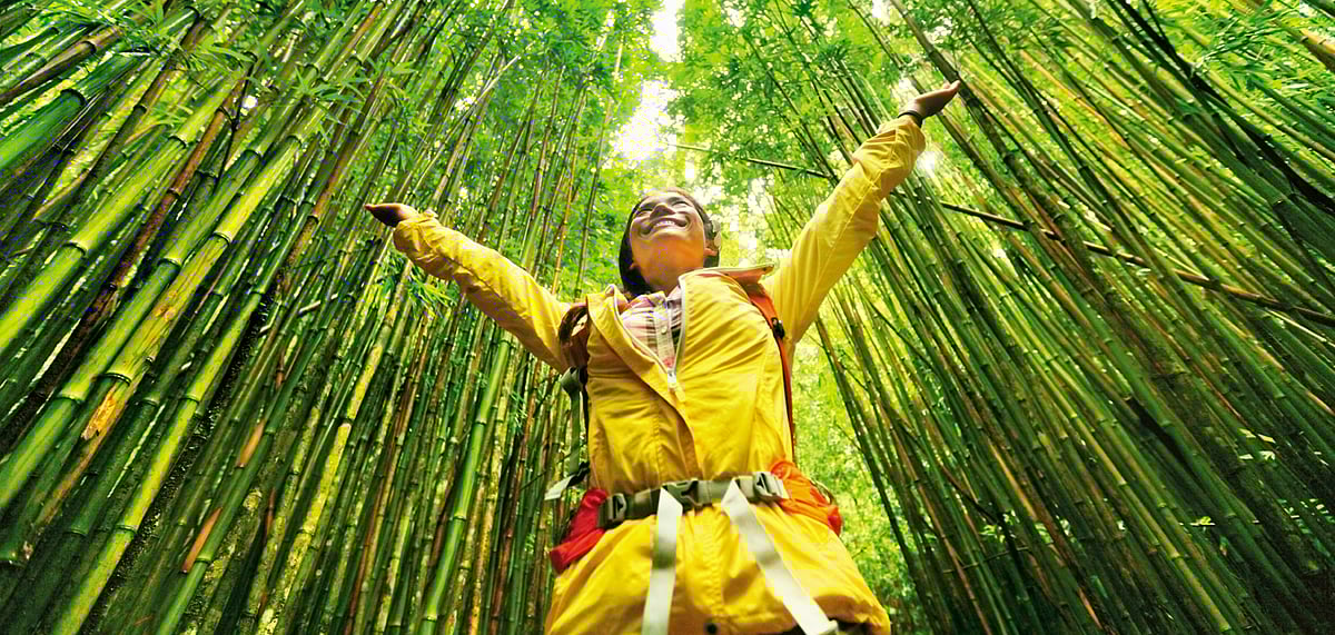 Travel is now a more thematic, individual experience