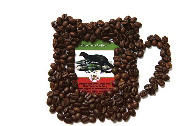 Nilgiris own kopi luwak