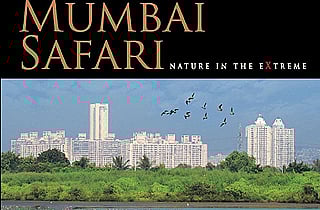 The astonishing biodiversity of Mumbai