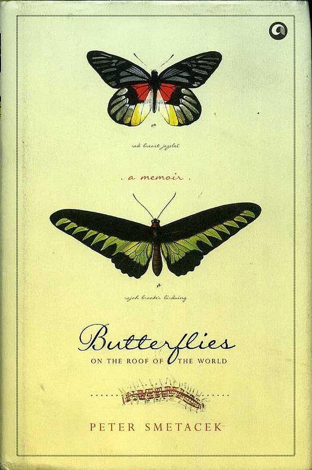 Butterfly collector