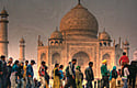 Splendid Taj