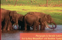 Wildlife treasures of India