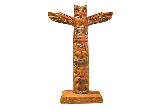 The thunderbolt bird