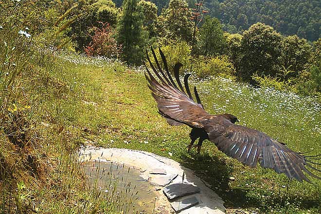 Responsible Tourism Saving Jabarkhet Nature Reserve