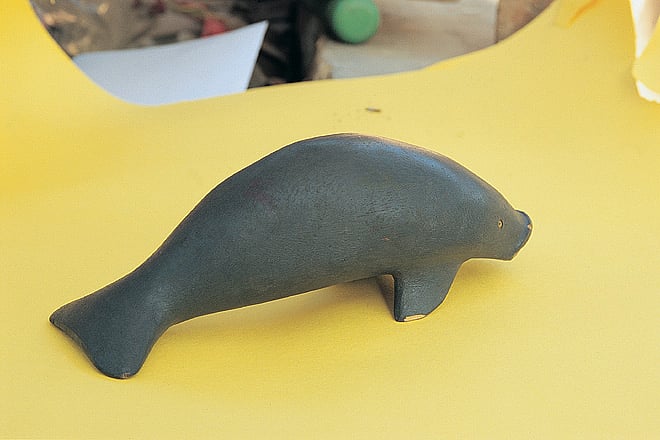 A gentle giant from Manaus