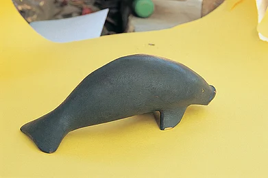 A gentle giant from Manaus