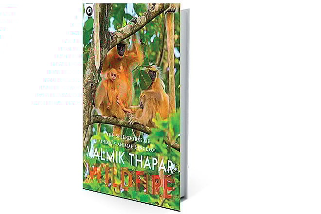 Red of tooth and claw