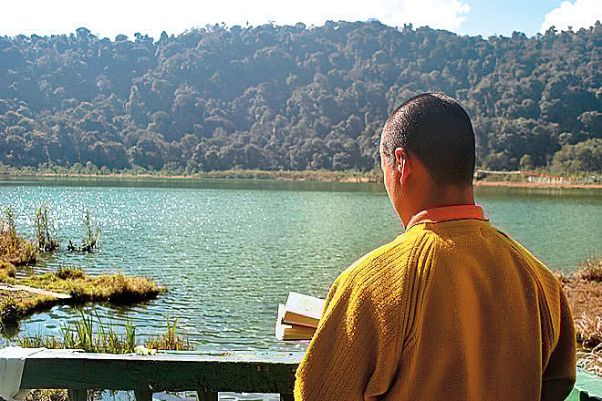 The Grumpy Traveller Whither World Peace