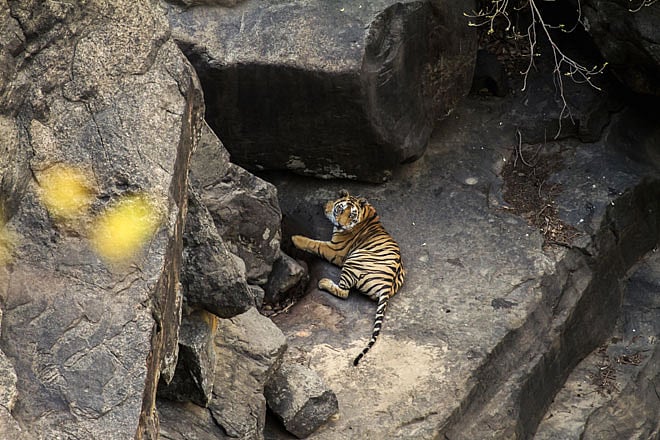 Madhya Pradesh The Promise of Panna