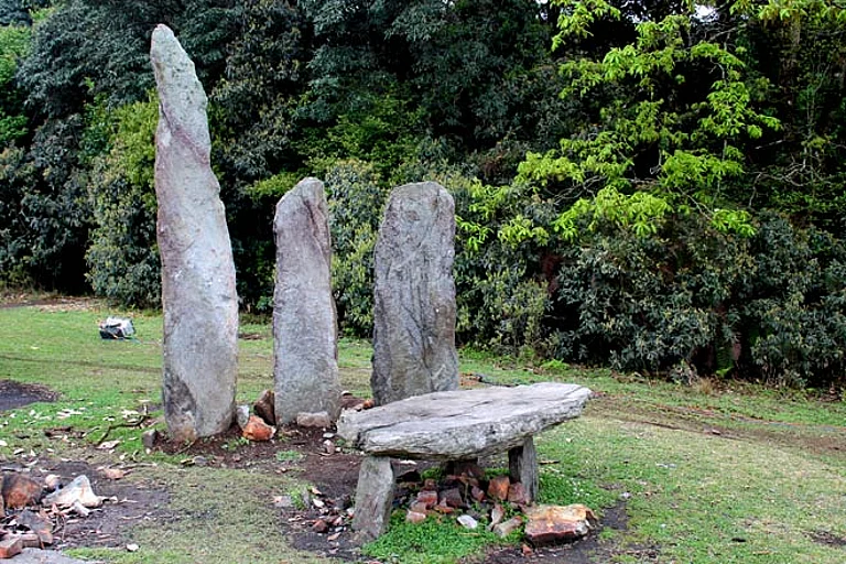 Meghalaya The Sacred Grove - null