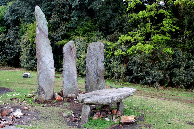 Meghalaya The Sacred Grove