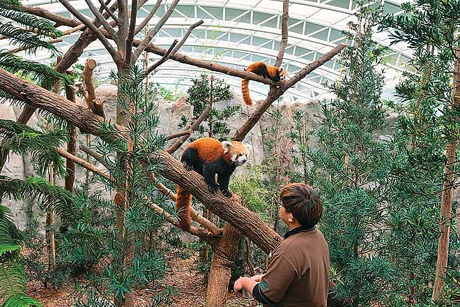 Responsible Tourism Singapore Zoo