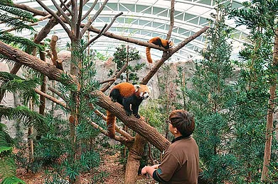 Responsible Tourism Singapore Zoo