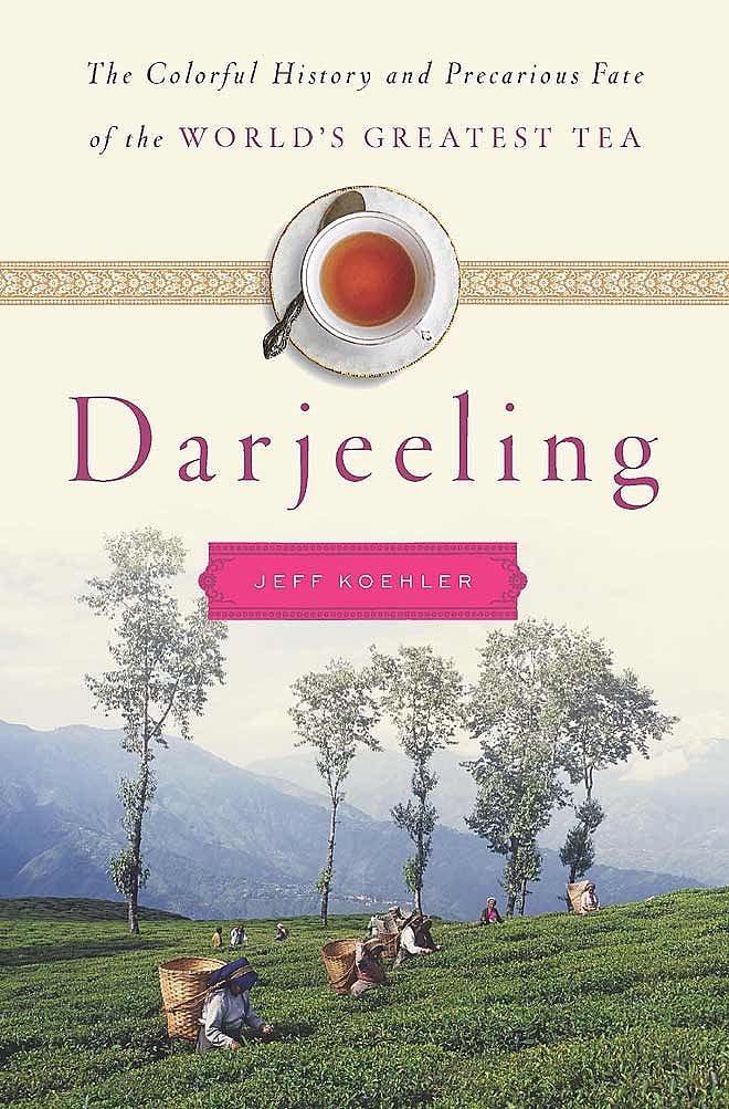 Darjeeling tea Past, present and future