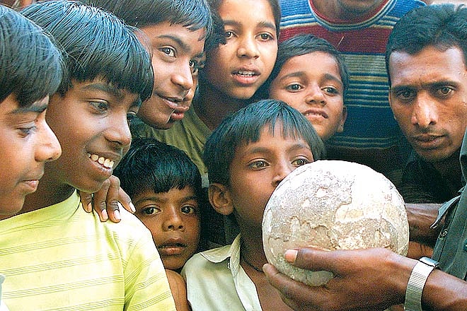 Vignette Dinosaurs in Gujarat