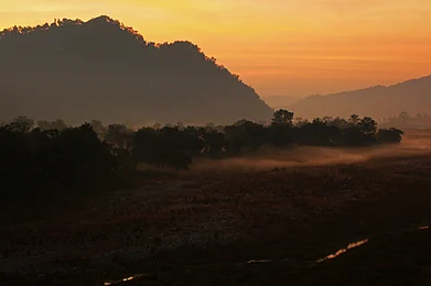 Blog The Smart Way of Experiencing India--s Wilds