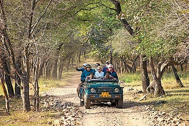 Grumpy Traveller Is Amateur Photography Ruining Wildlife Safaris