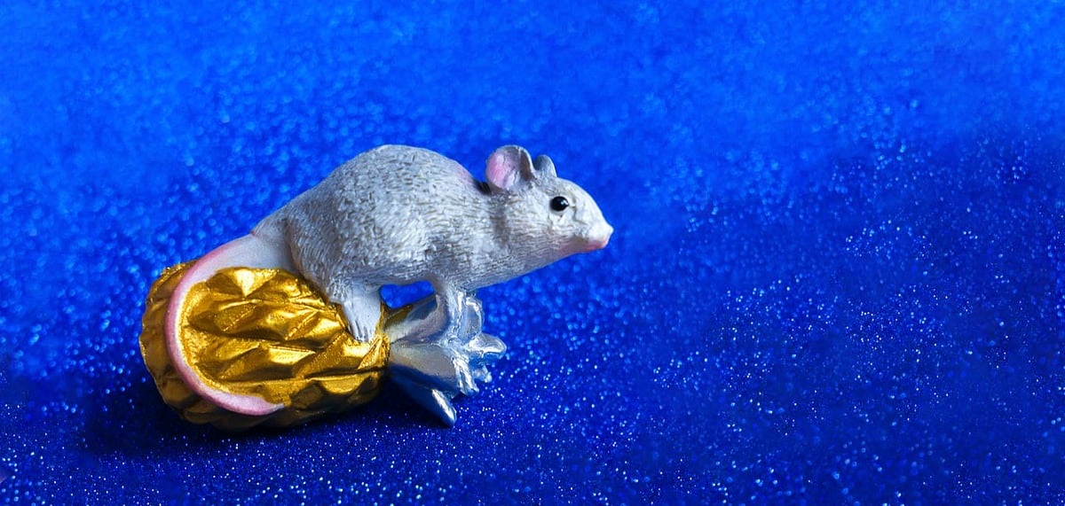 Representative Image A secret world of tiny creatures exists in Sweden