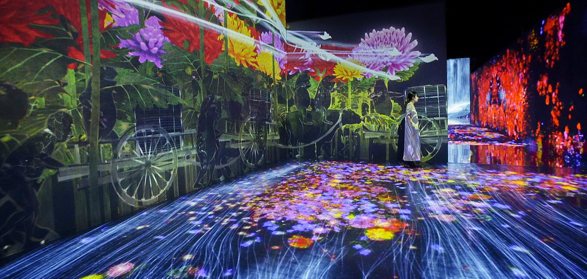 Immerse yourself in the unusual concepts on display 