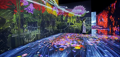 Immerse yourself in the unusual concepts on display