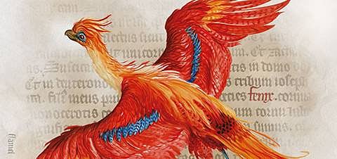 The New York exhibition explores the magic at the heart of the Harry Potter stories