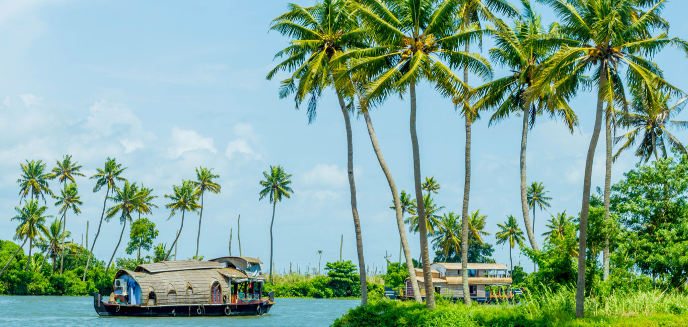 Kerala is known for its wellness retreats, houseboats, and homestays