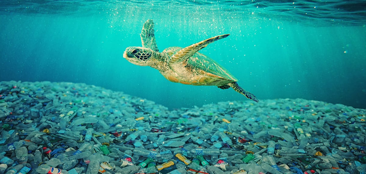 Sea turtle swimming in ocean invaded by plastic bottles. Pollution in oceans concept