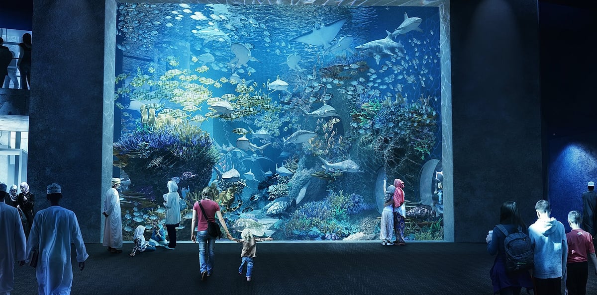 The Oman Aquarium 