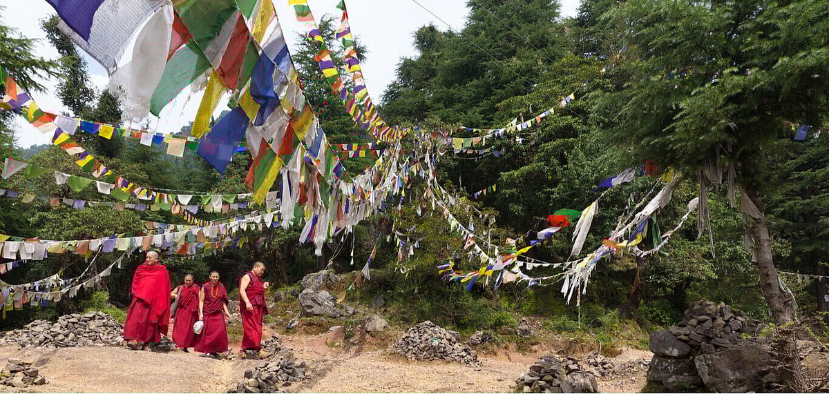 The Dharamshala International Film Festival is held in the Tibetan enclave of McLeod Ganj