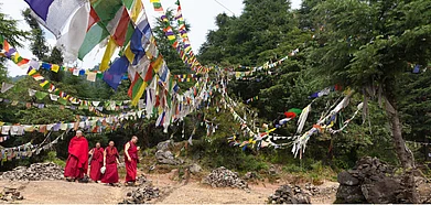 The Dharamshala International Film Festival is held in the Tibetan enclave of McLeod Ganj