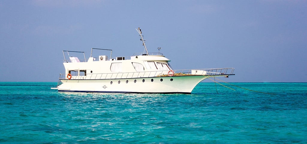 You can choose your own yacht or cruise ship size