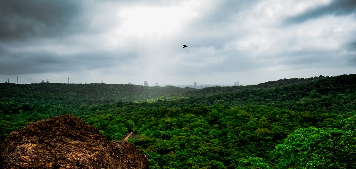 The map highlights Mumbais incredible biodiverse landscapes
