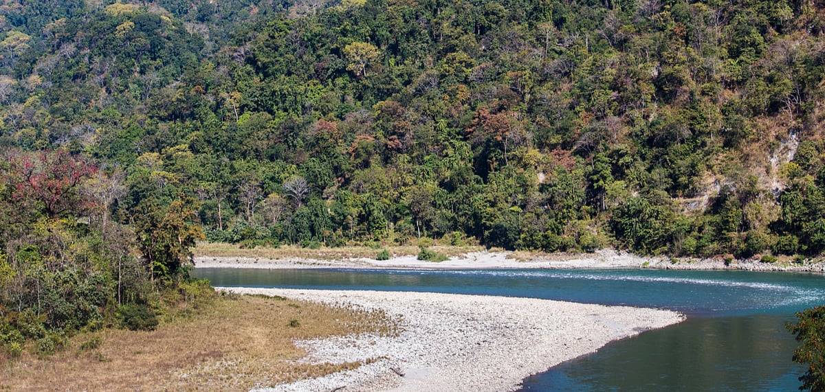 A river runs through Manas National Park