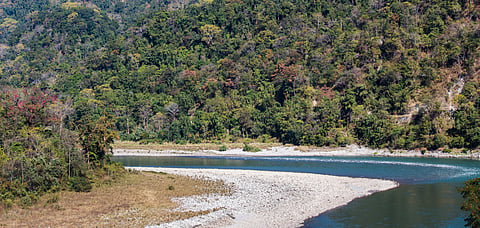 A river runs through Manas National Park